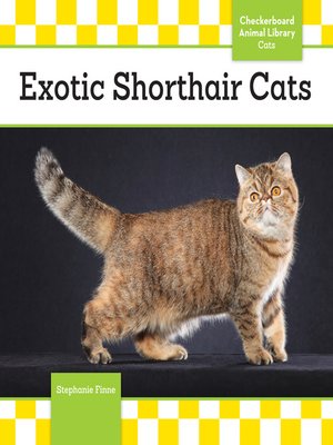cover image of Exotic Shorthair Cats